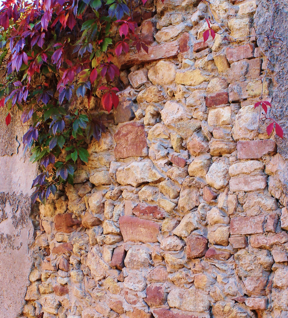 Steinwand mit Weintraubenblättern