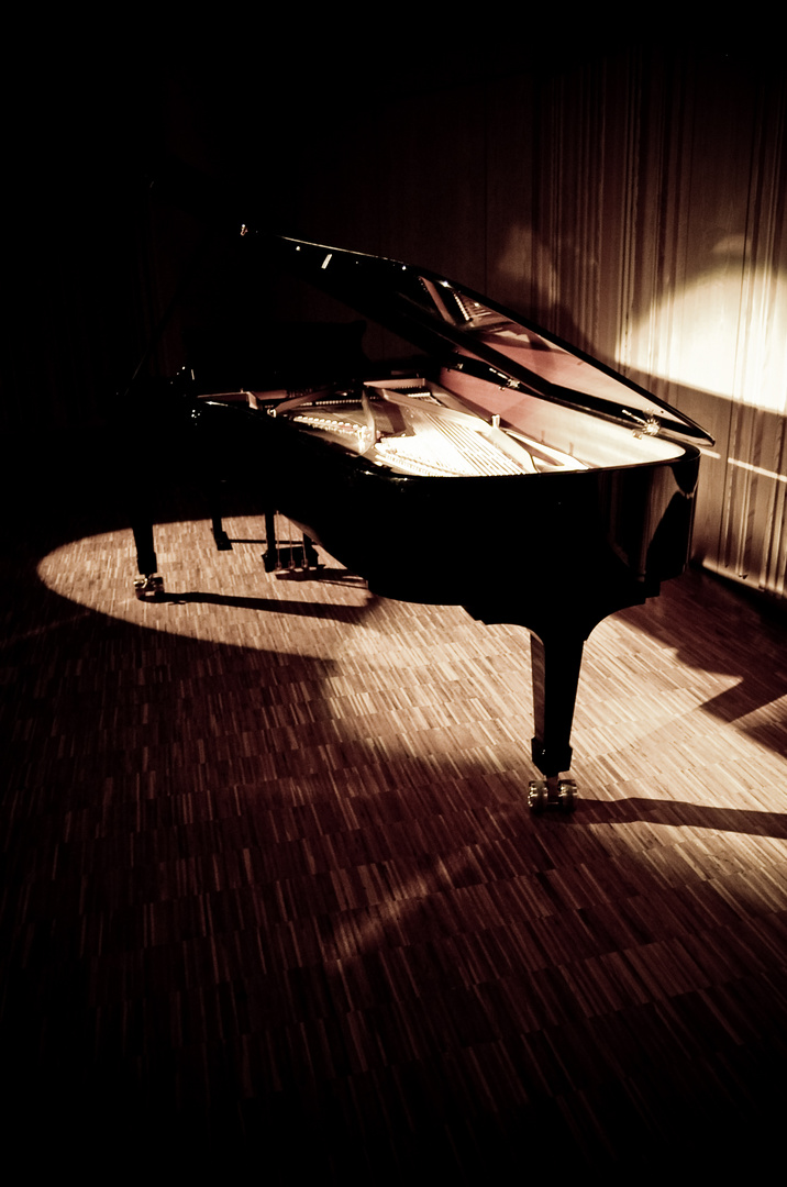 Steinway D 3 Spot