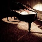 Steinway D 3 Spot