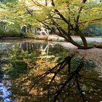 Steinway-Park Seesen