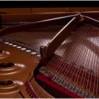 Steinway Projekt 5