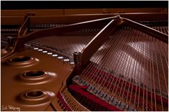 Steinway Projekt 5