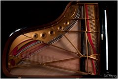 Steinway Projekt 7