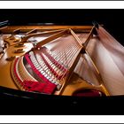 Steinway Projekt 8