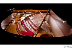 Steinway Projekt 8