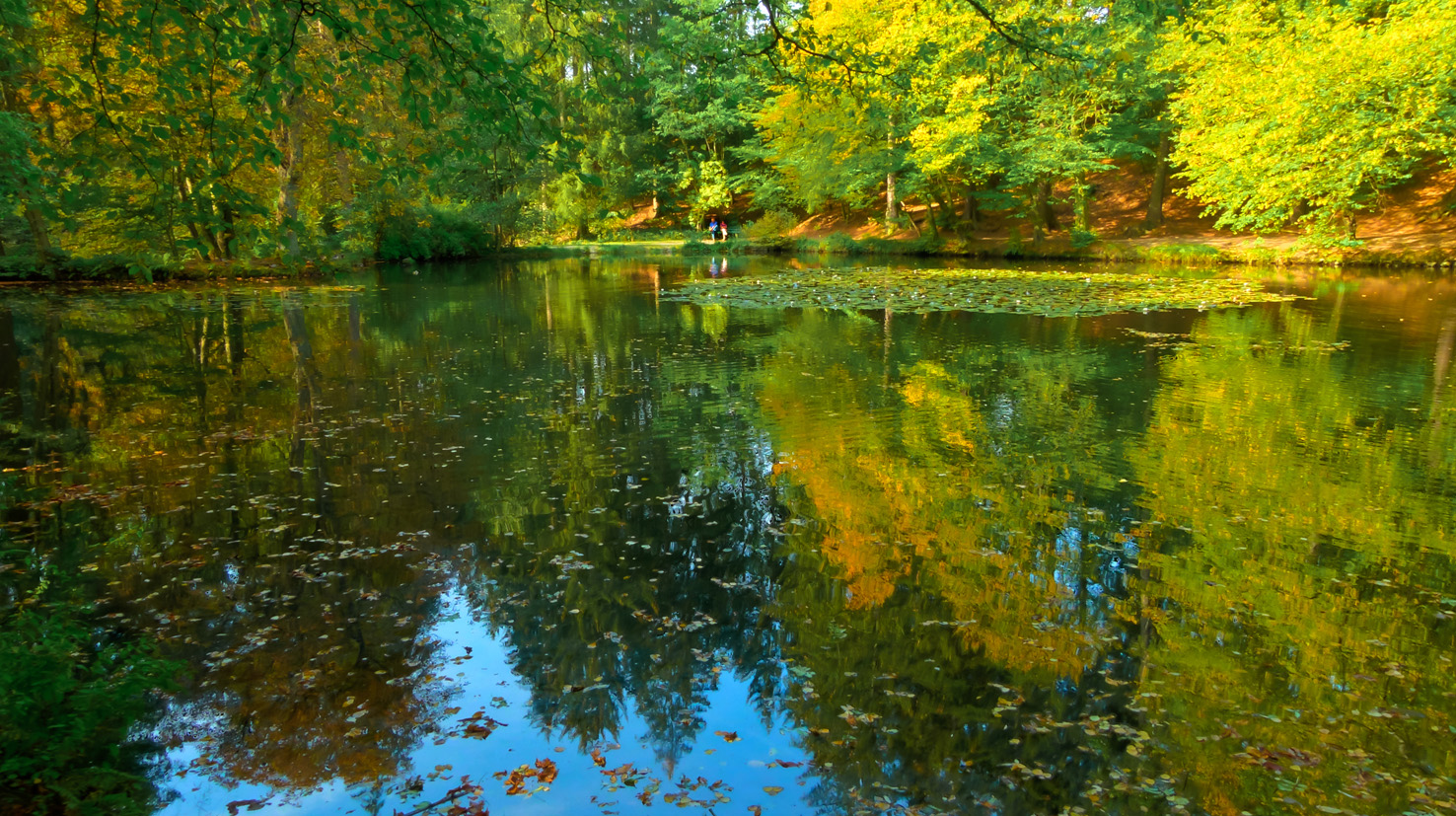 Steinwaypark Seesen im Herbst