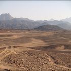 Steinwüste oder arabische Wüste