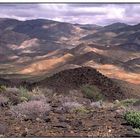 Steinwüste Richtersveld