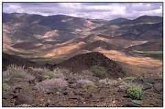 Steinwüste Richtersveld