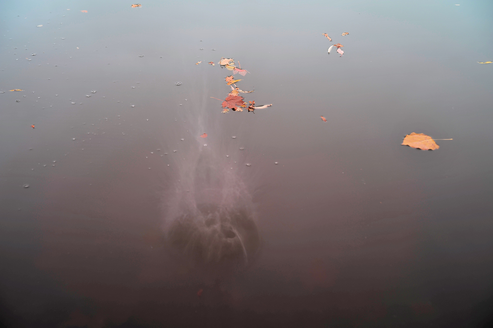 Steinwurf ins Wasser.