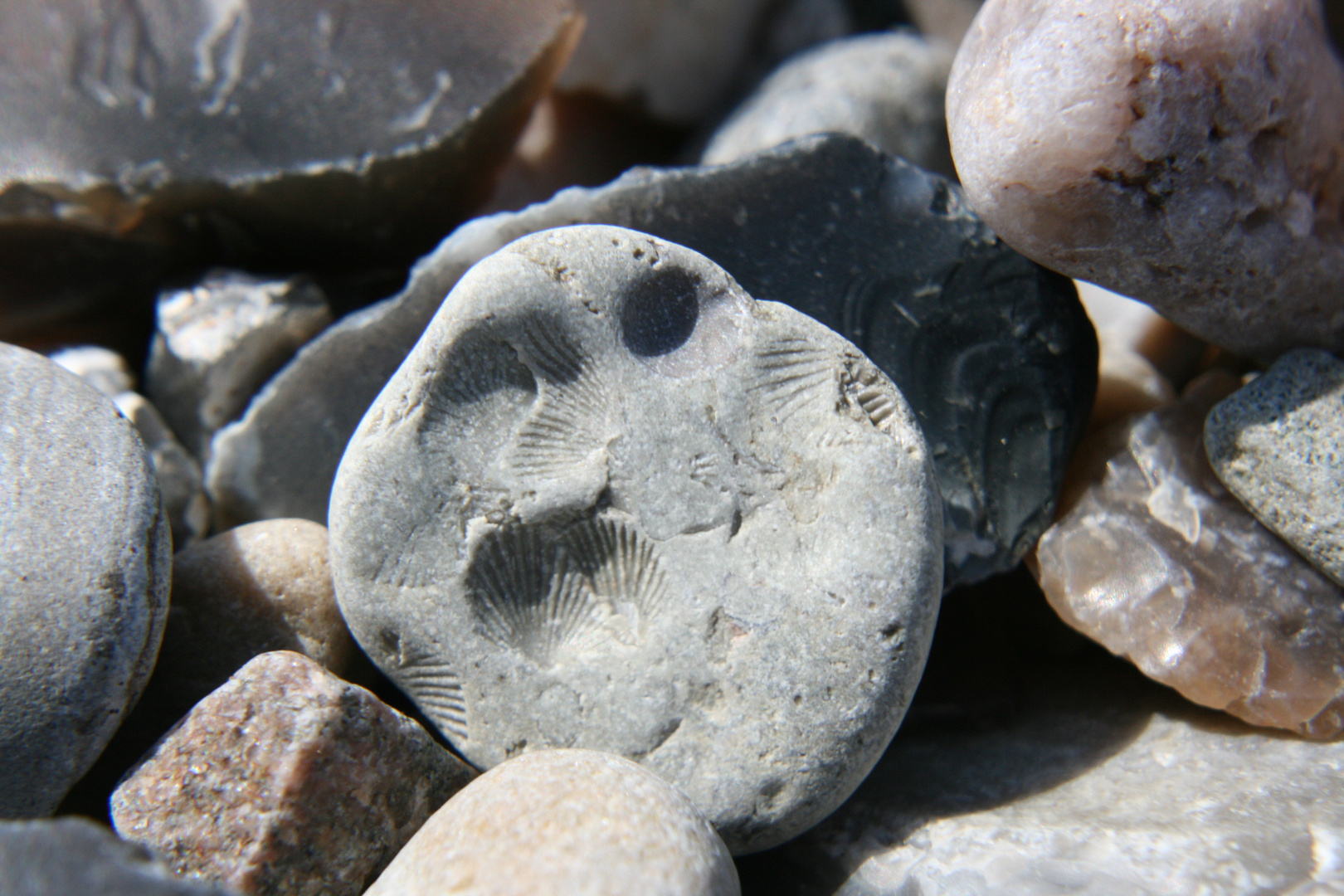 Steinzeit auf Fehmarn