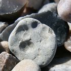 Steinzeit auf Fehmarn