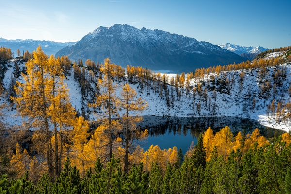 Steirersee im Lärchenbett