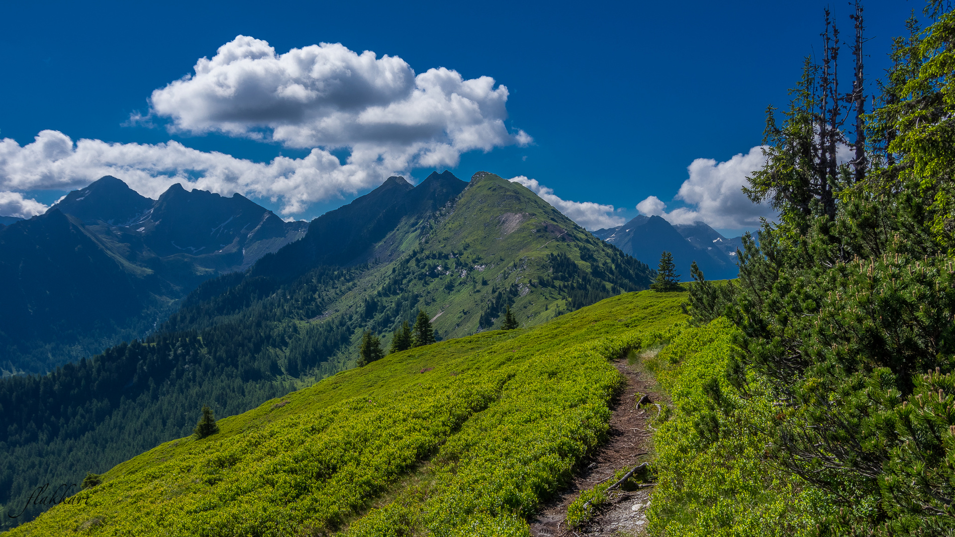 Steirisch Kanada