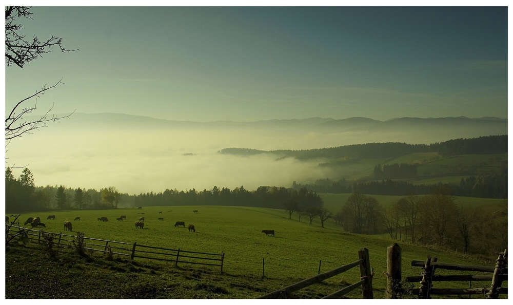 Steirische Ausicht