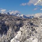 Steirische Eisenwurzen