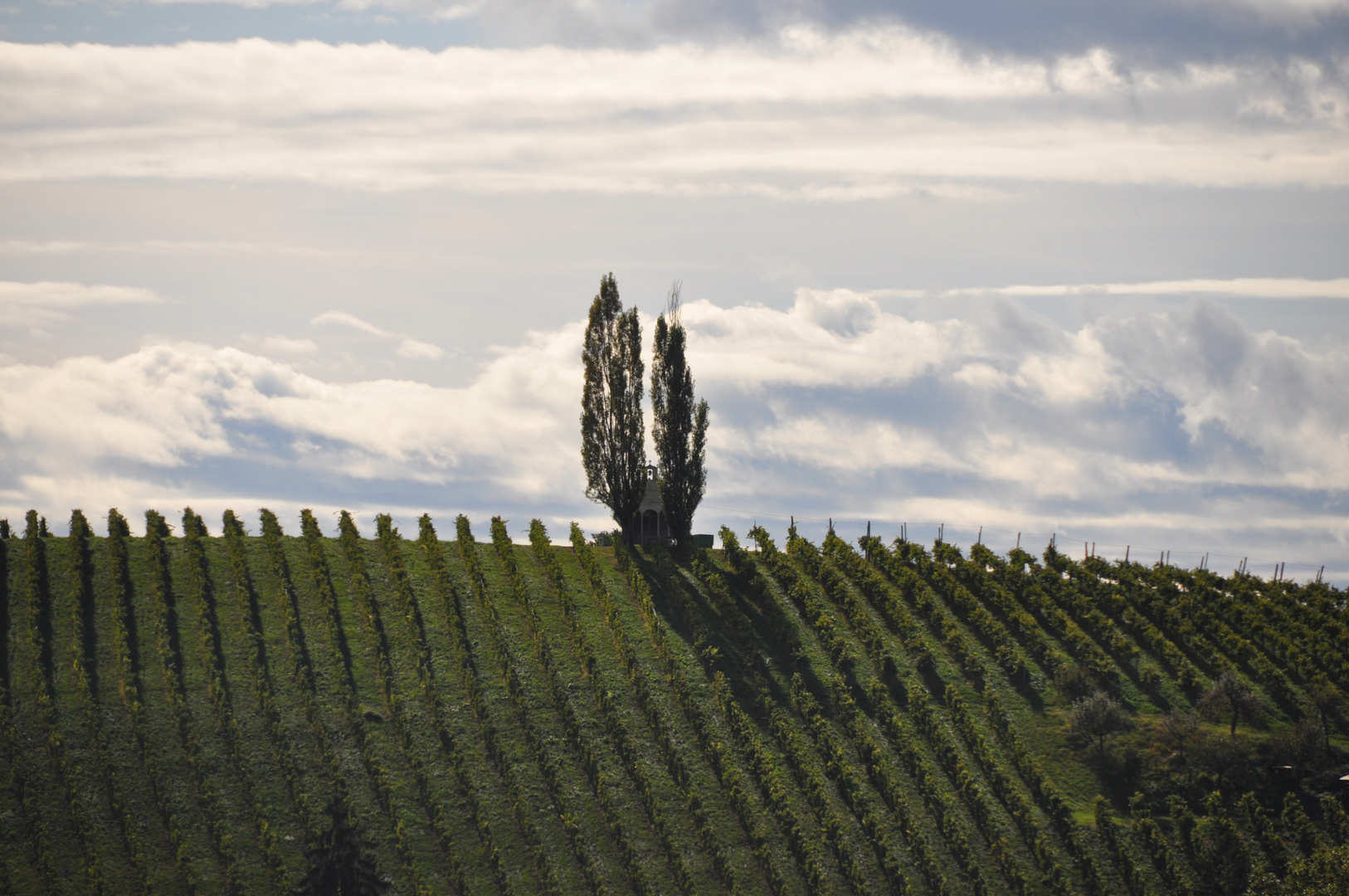 Steirische Toscana