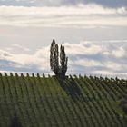 Steirische Toscana