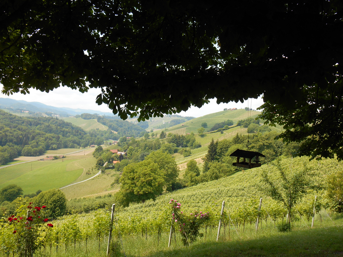 Steirische Toskana