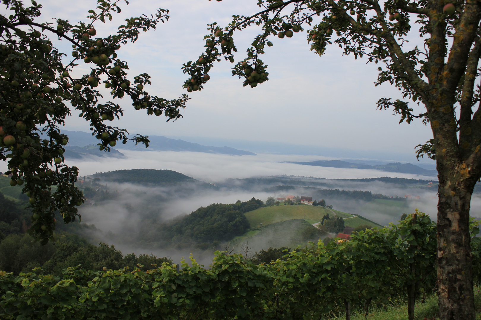 Steirische Toskana