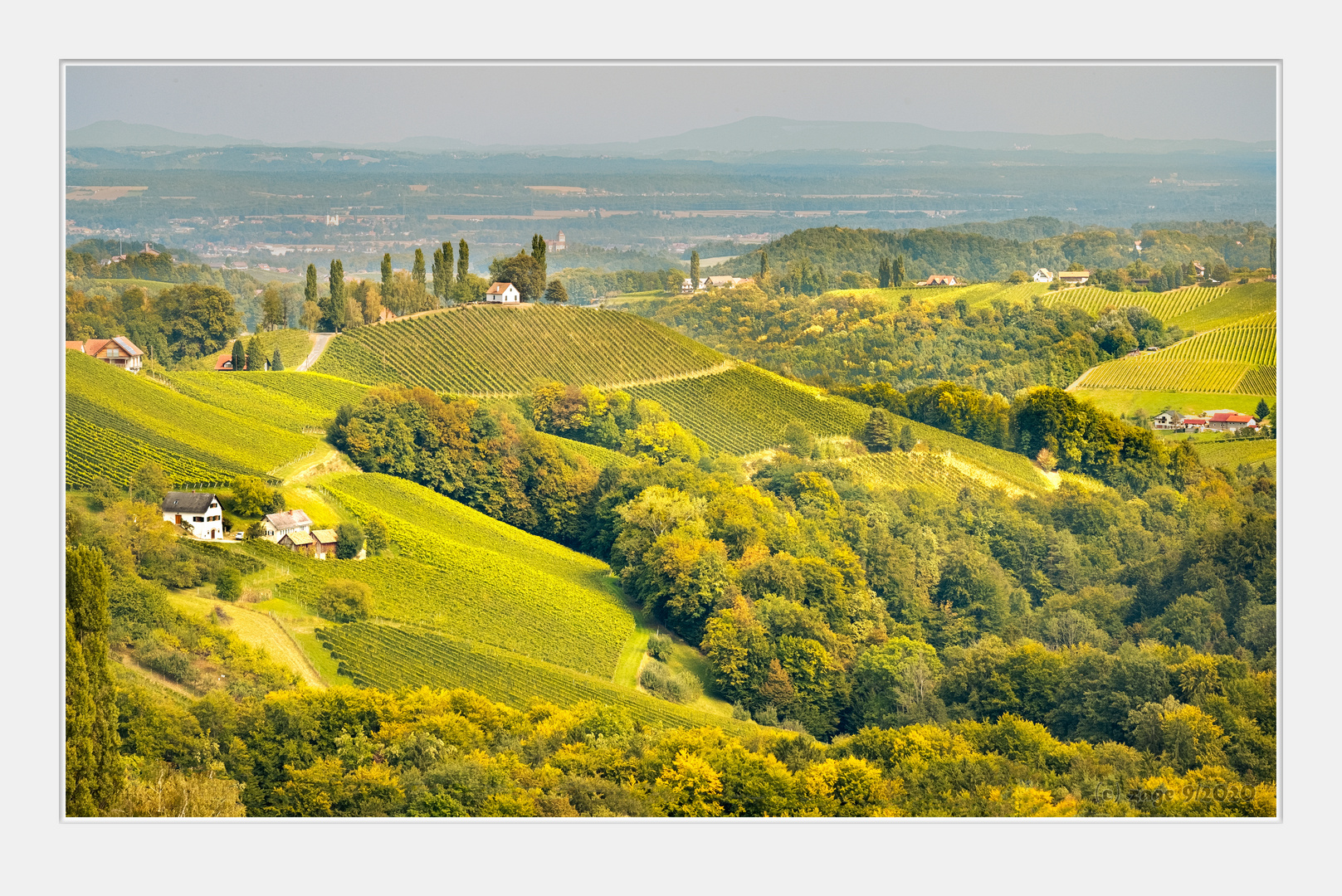 Steirische Weinstrasse 2