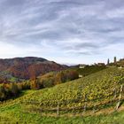 Steirische Weinstraße