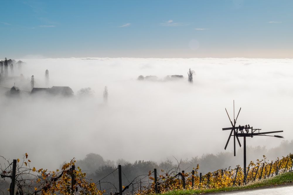 Steirische Weinstraße