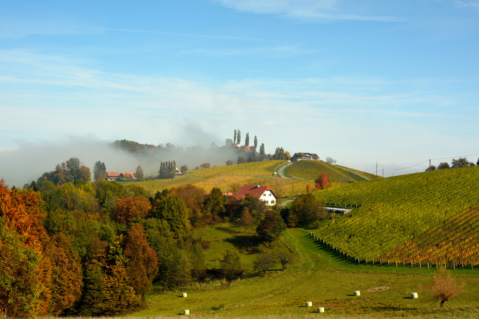 Steirische Weinstraße Steirische Weinstraße