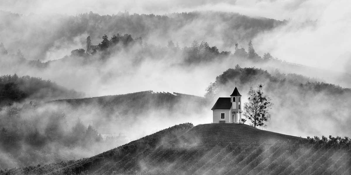 Steirische - Weinstrasse