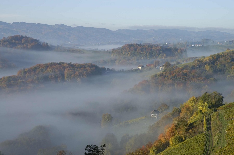 Steirischer Herbst