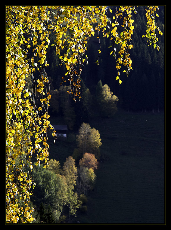 Steirischer Herbst (3) Foto & Bild europe, Österreich, steiermark