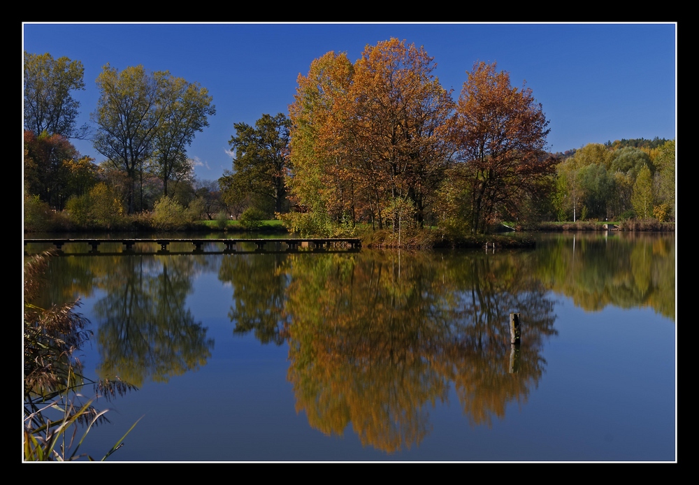 Steirischer Herbst