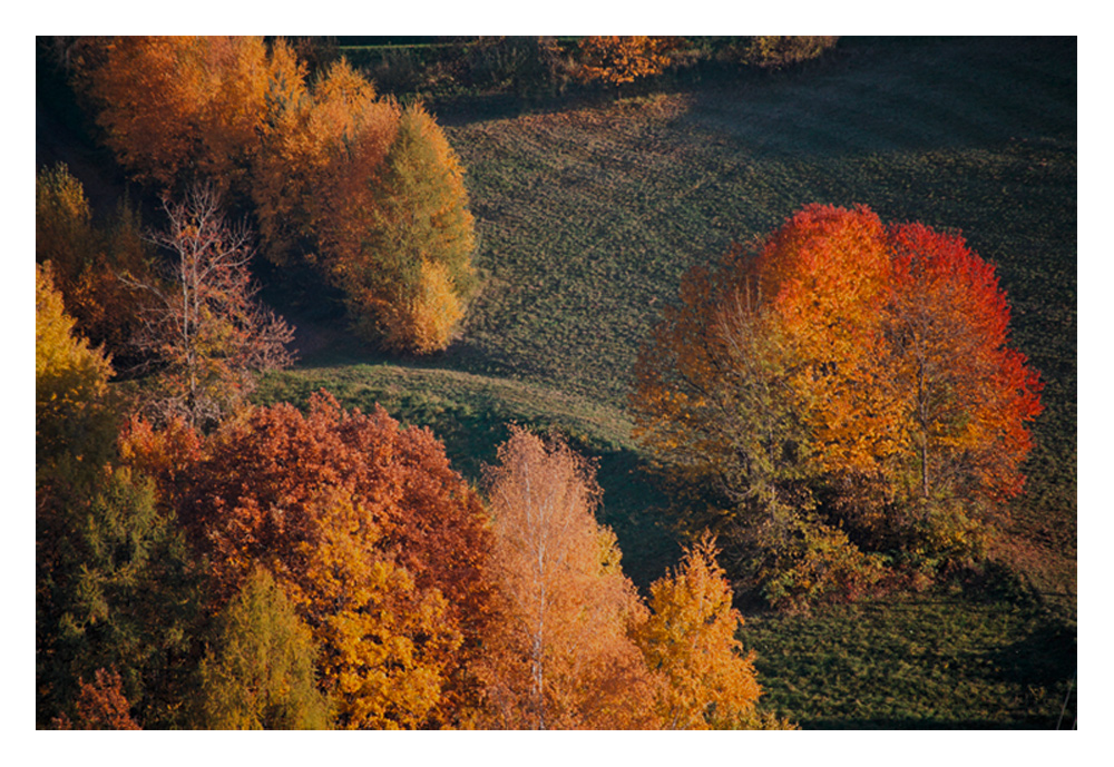 "steirischer Herbst . "