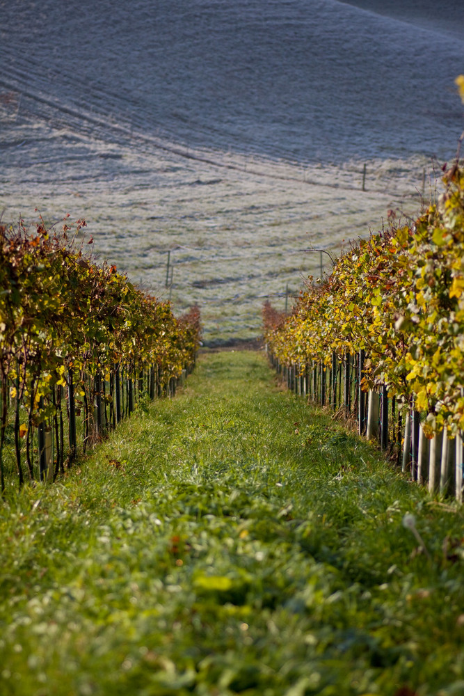 steirischer Herbst