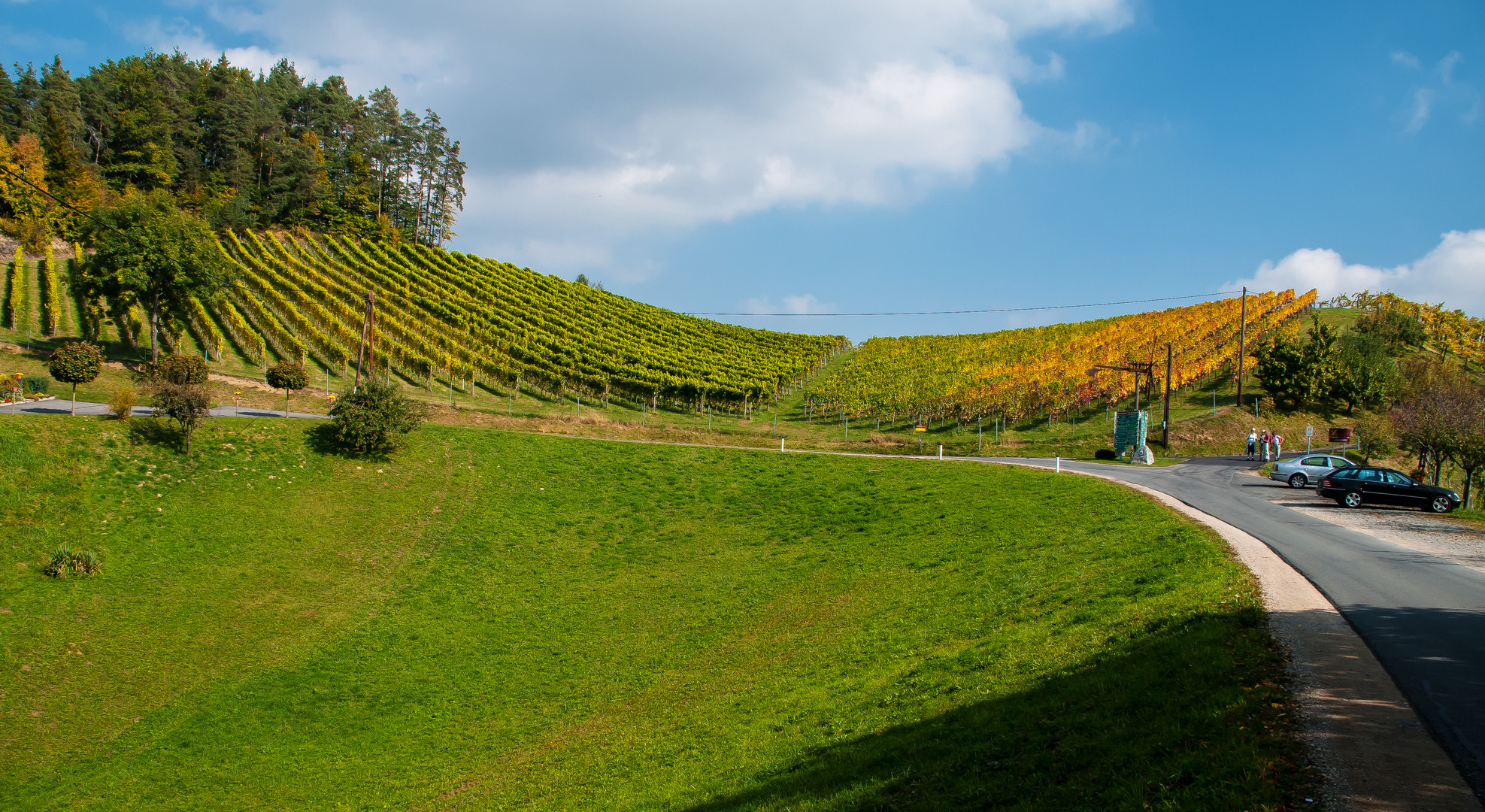 Steirischer Wein