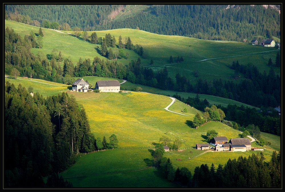 Steirisches Landleben