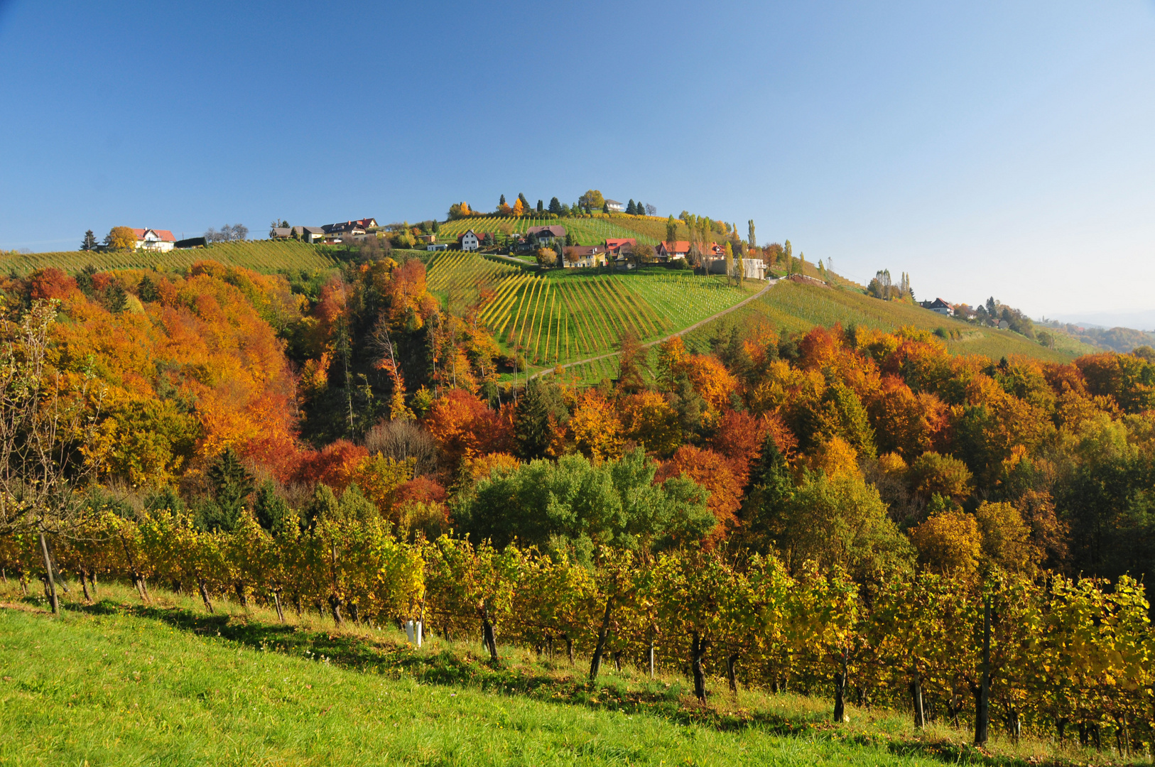 Steirisches Weinland