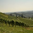 Steirsche Toskana bei diesem Wetter ein Traum