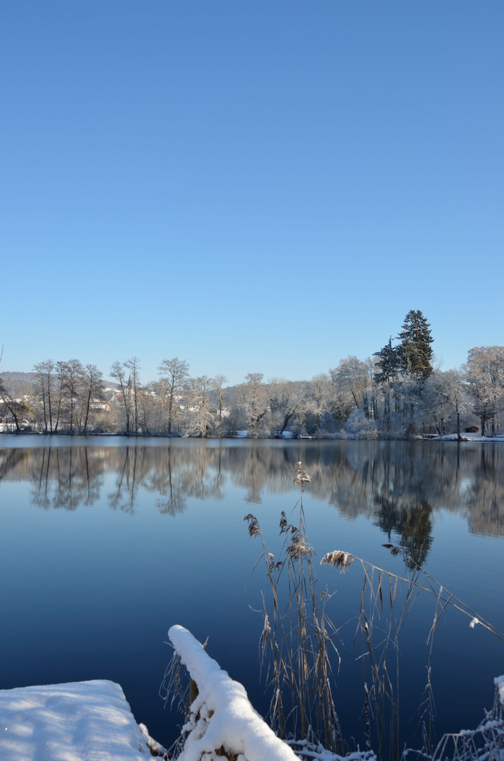 Steißlinger See im Winter