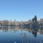 Steißlinger See im Winter