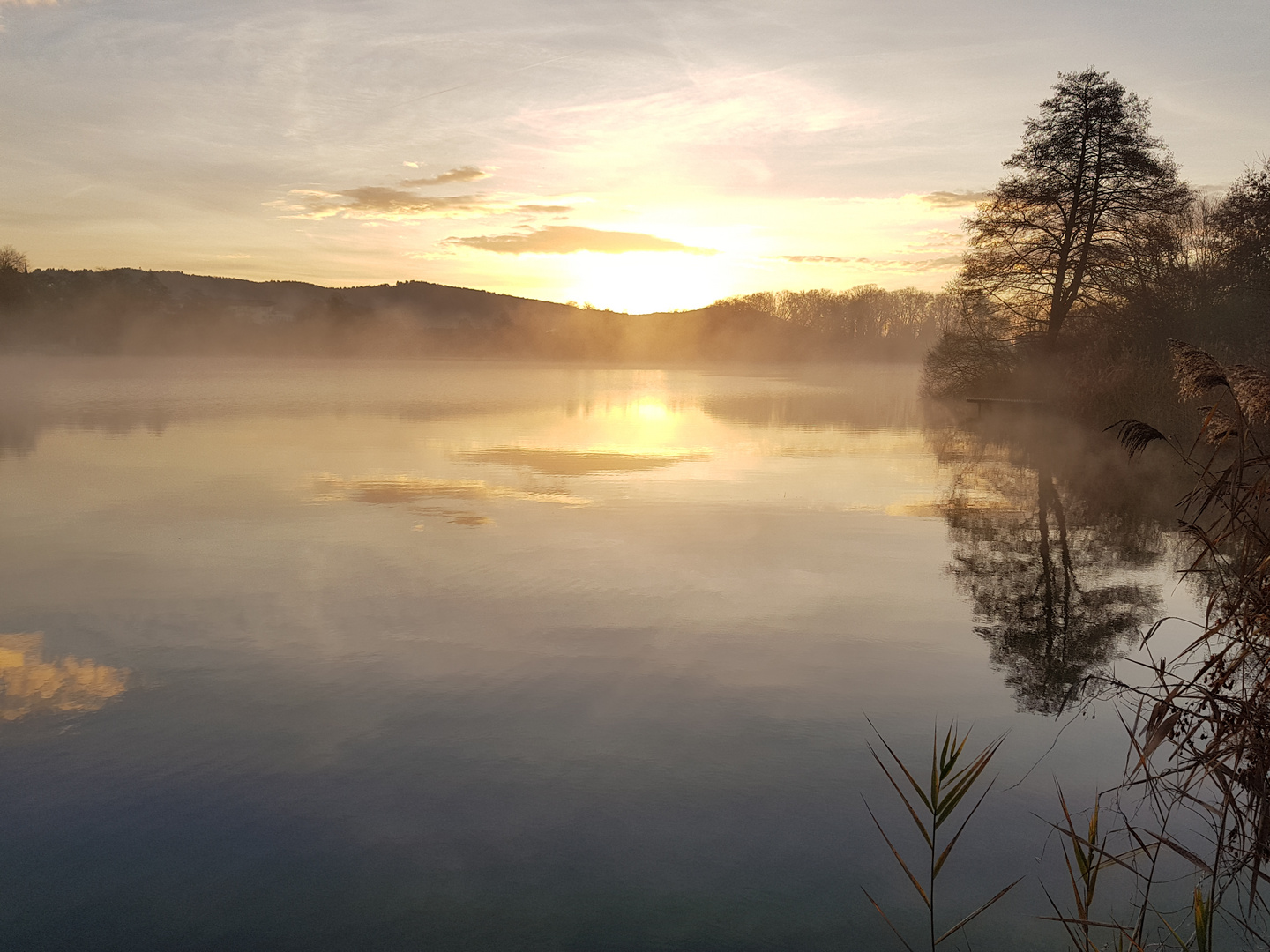 Steisslinger See in morgendlicher Idylle 