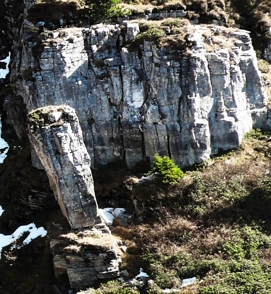 Stele di pietra in natura