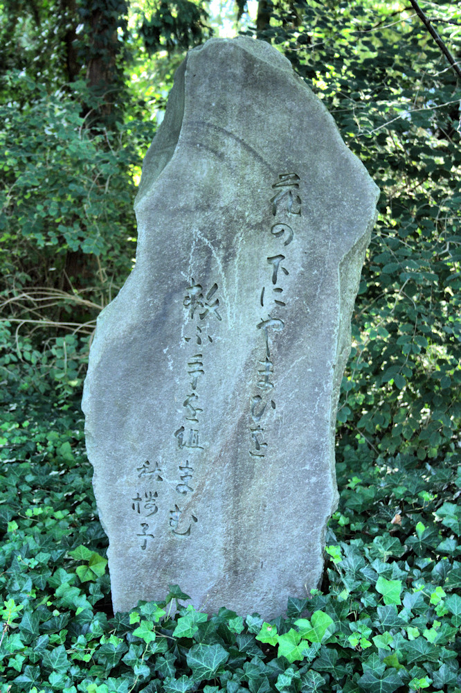 Stele