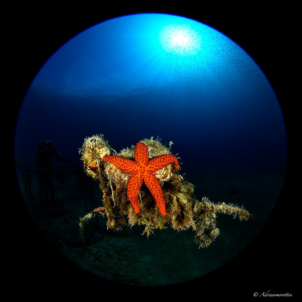 stella rossa con minidome 