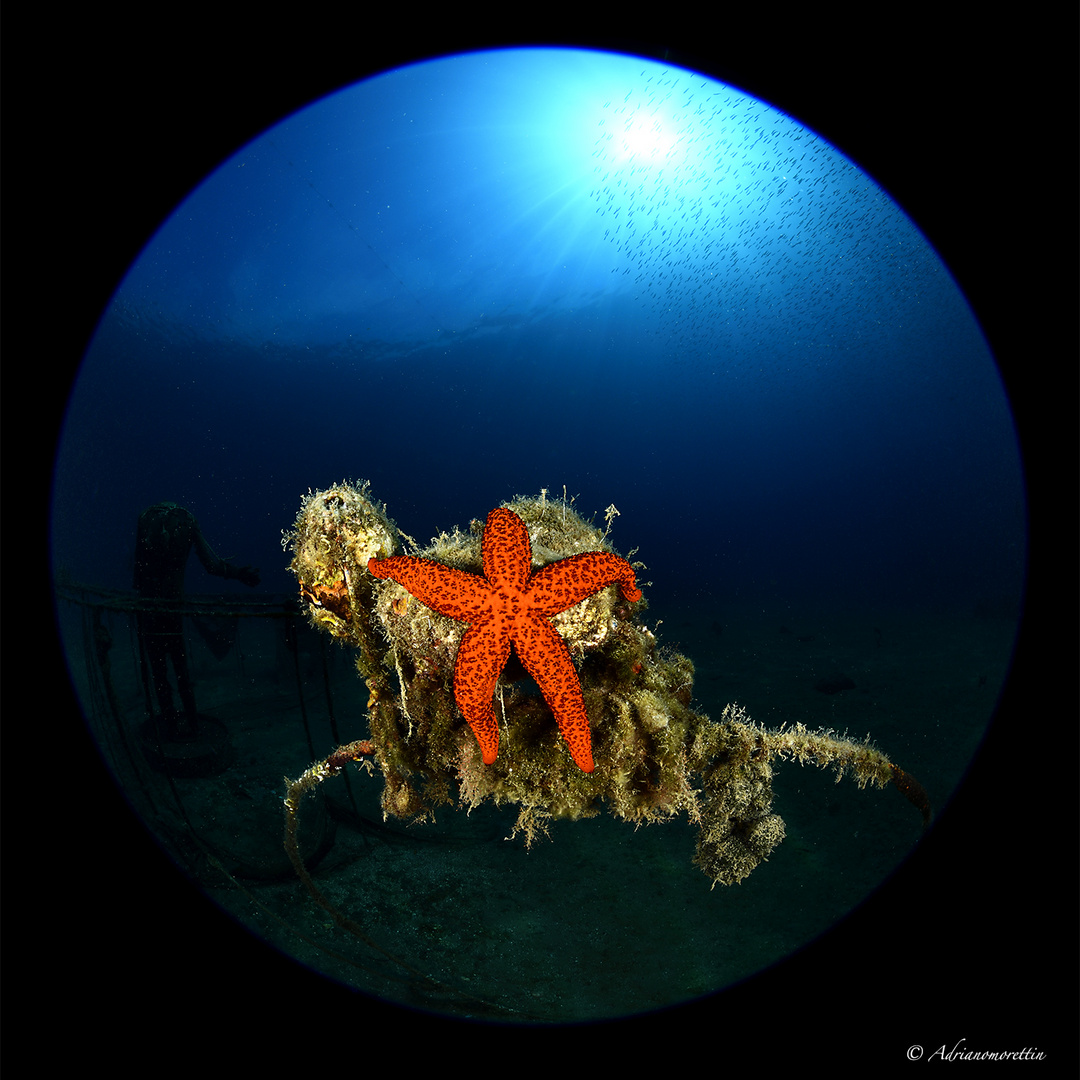 stella rossa con minidome 