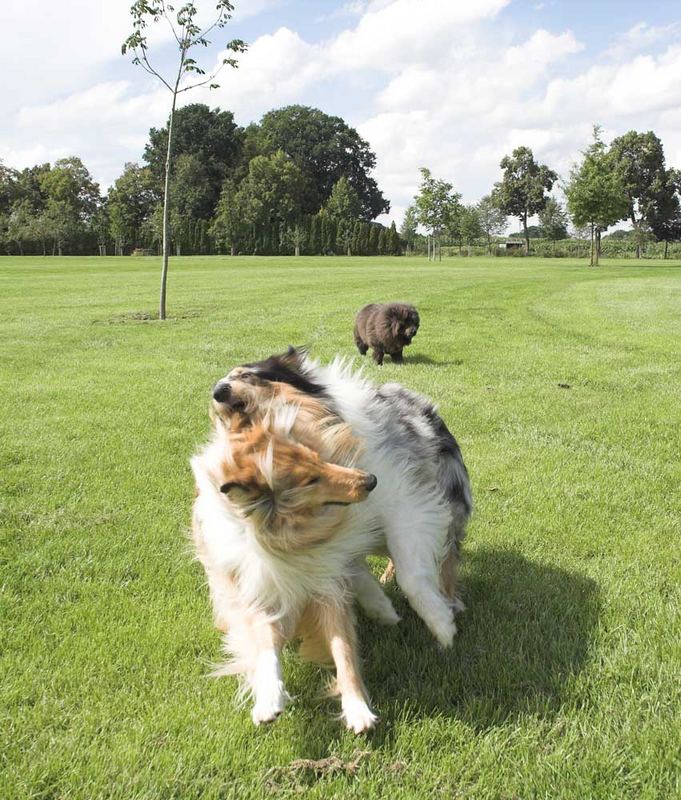 Stella und Blue geben Vollgas