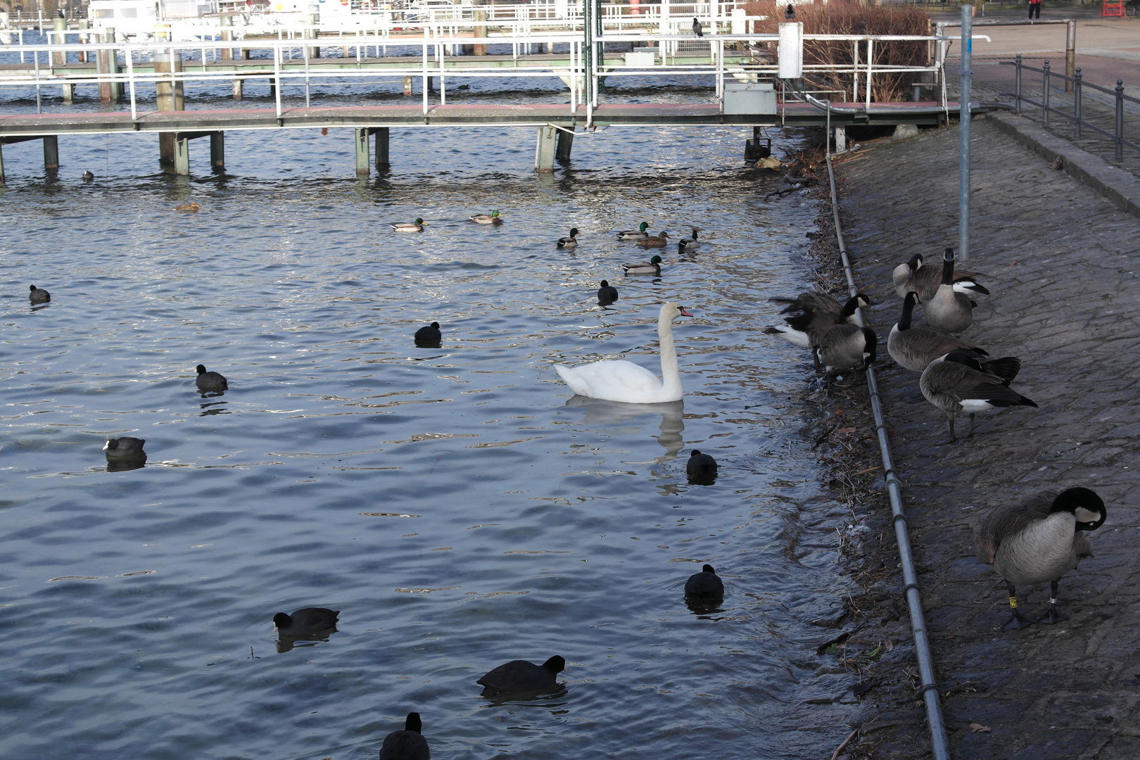 Stelldichein am Tegeler See Berlin