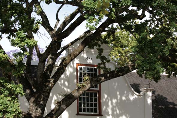 Stellenbosch #1