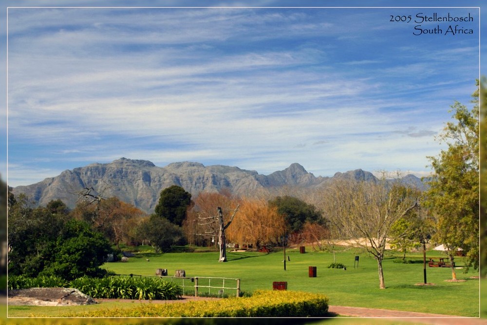 Stellenbosch