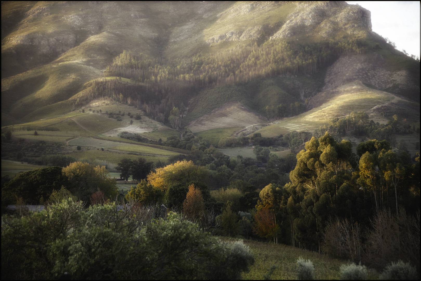 Stellenbosch.   .   .   .   sanfte Landschaft